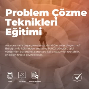 Problem Çözme Teknikleri