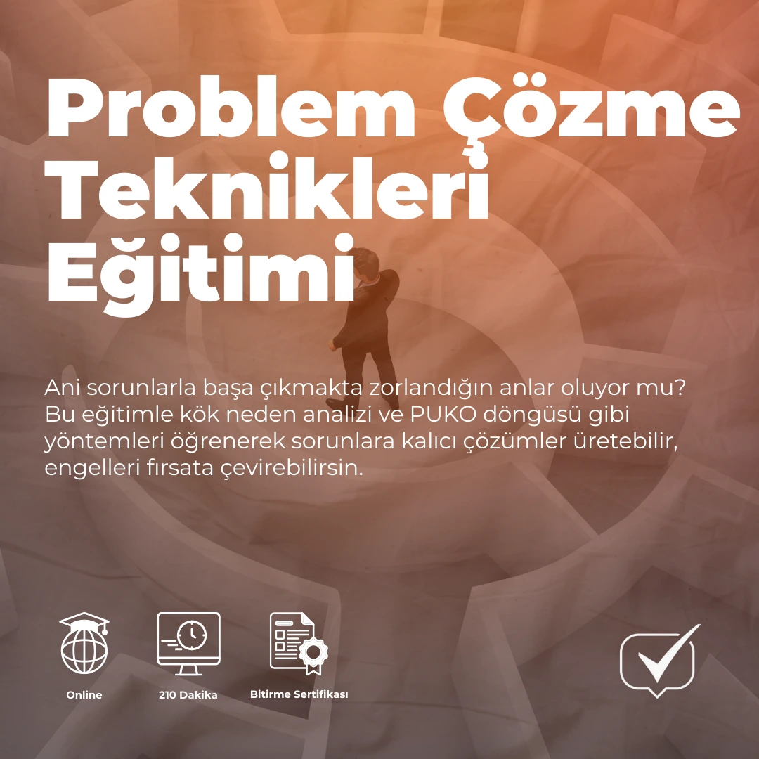 Problem Çözme Teknikleri